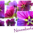 Novemberfarben 21