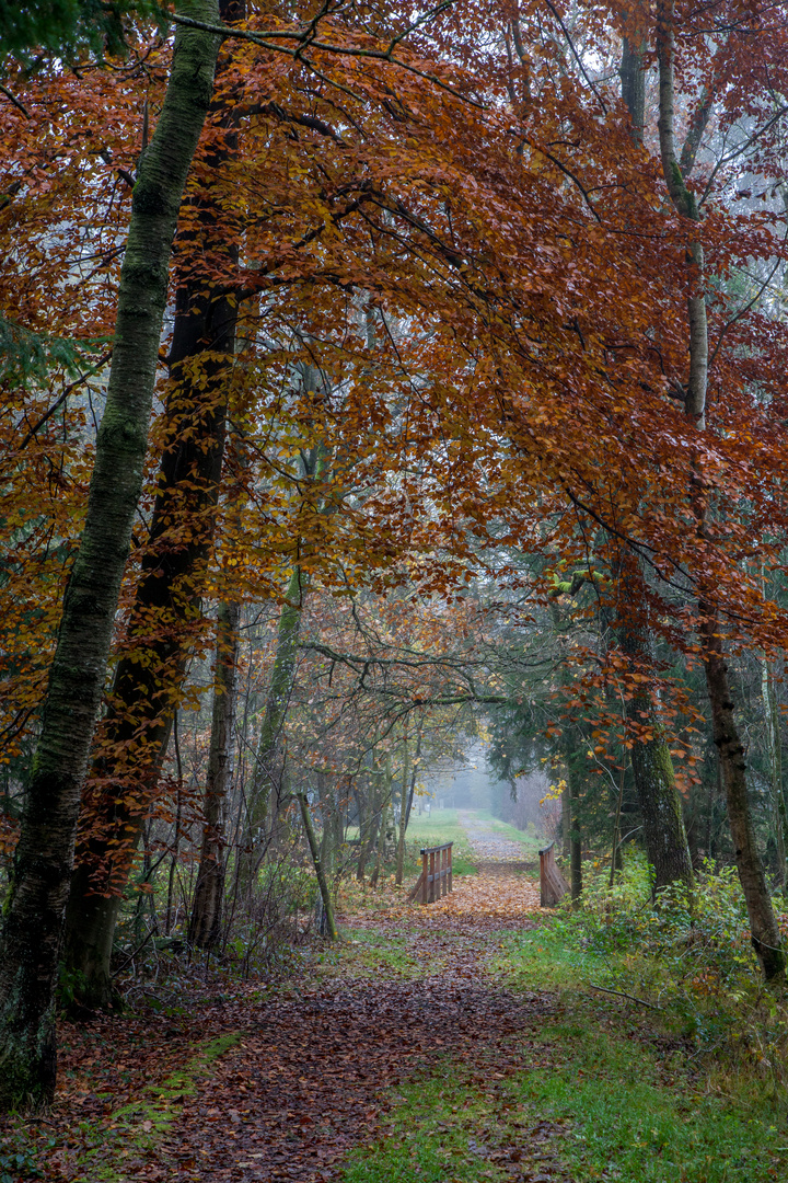 Novemberfarben