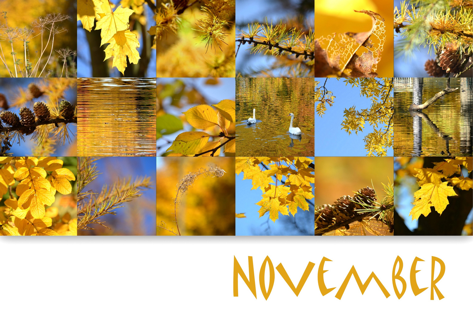 Novemberfarben