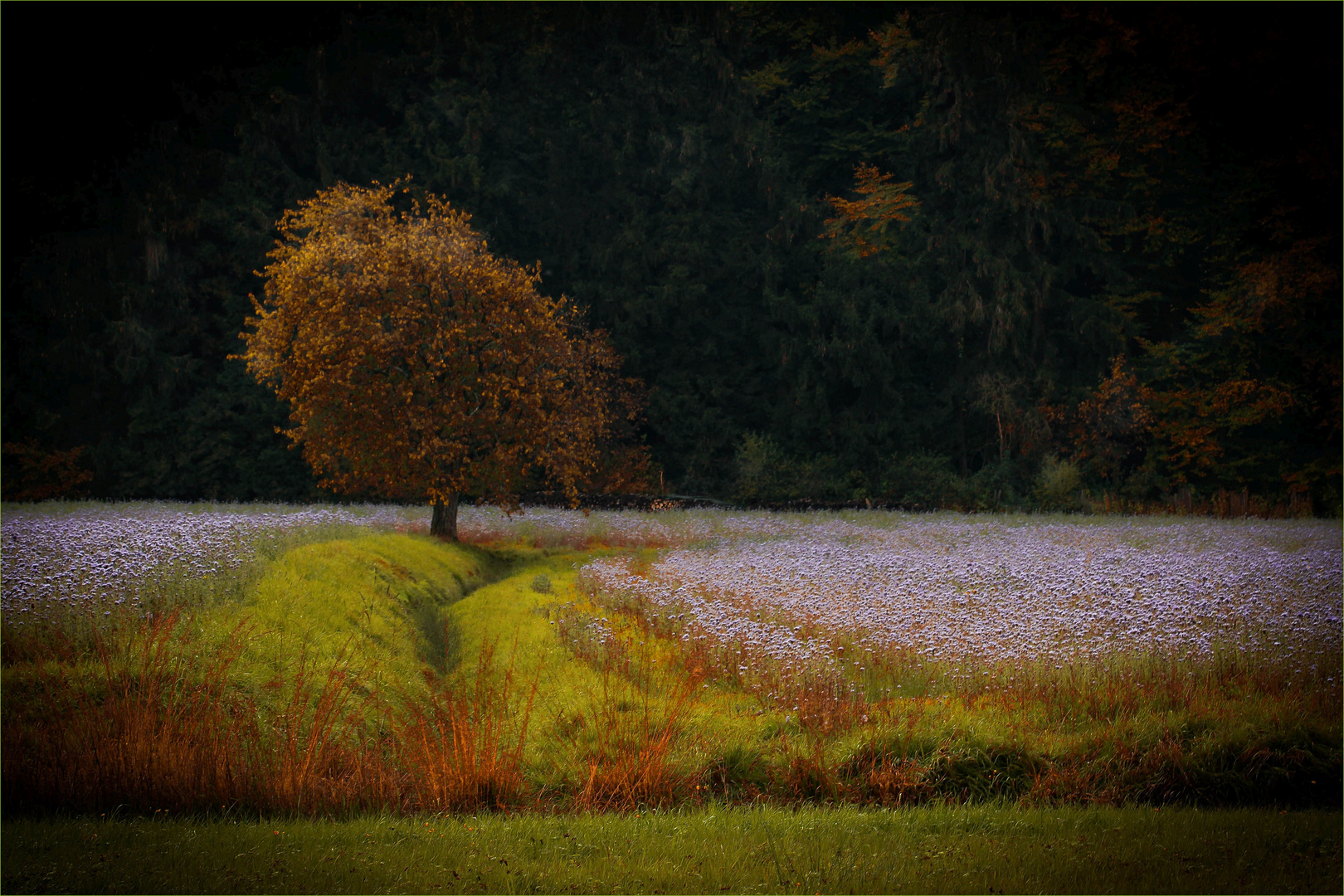 Novemberfarben