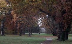 Novemberfarben