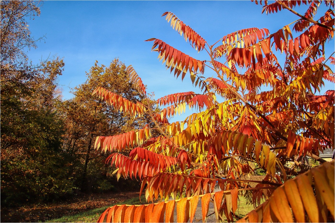 Novemberfarben