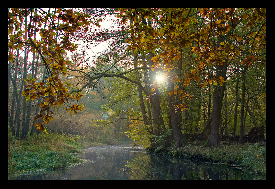 Novemberfarben.