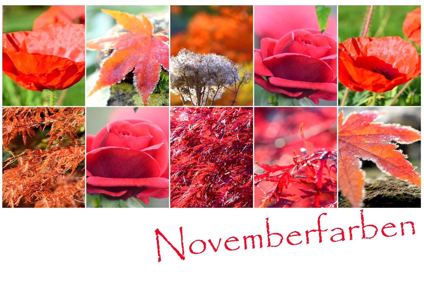 Novemberfarben