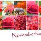 Novemberfarben