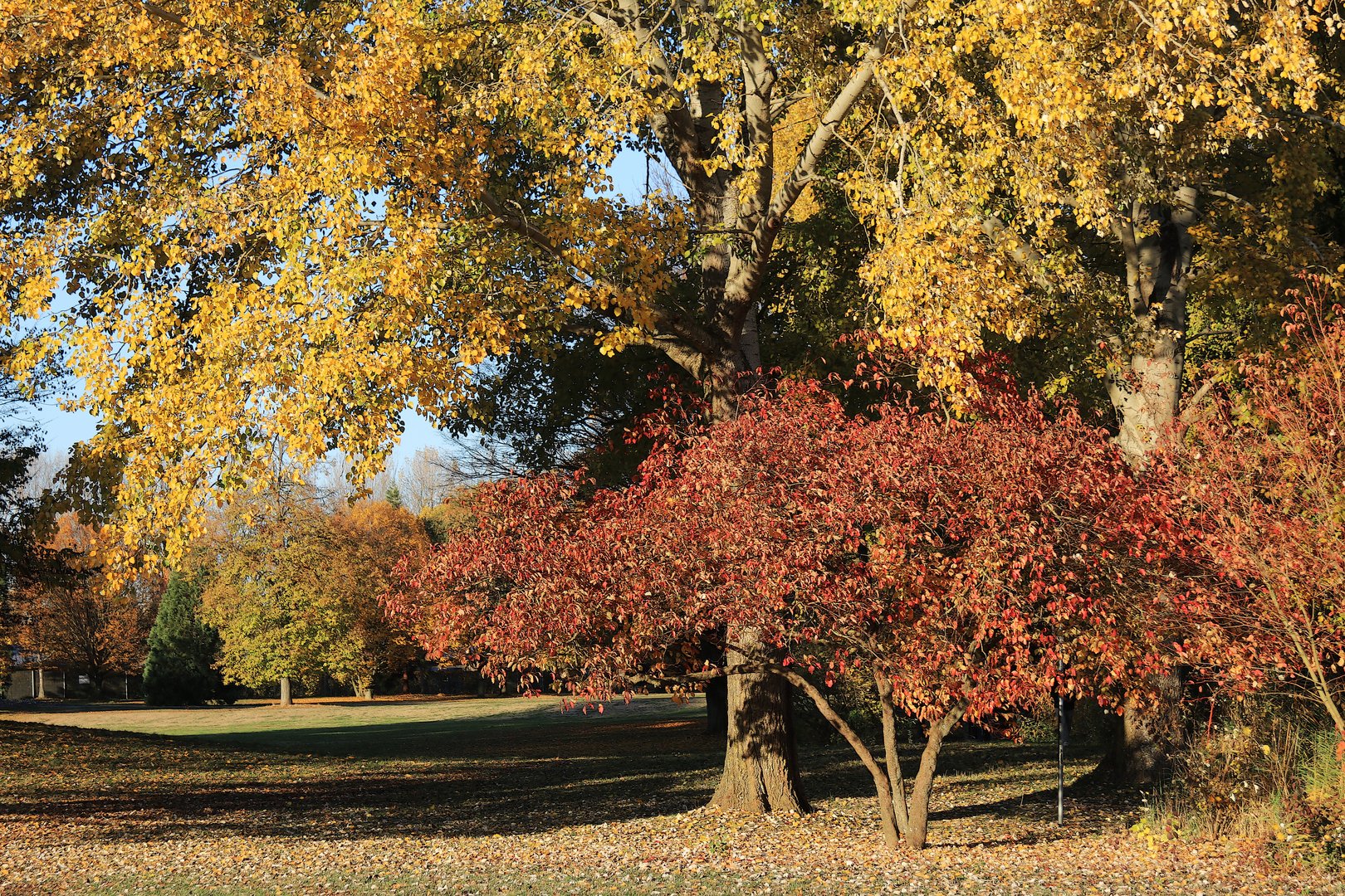 Novemberfarben