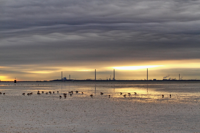 Novemberfeeling am Strand Horumersiel