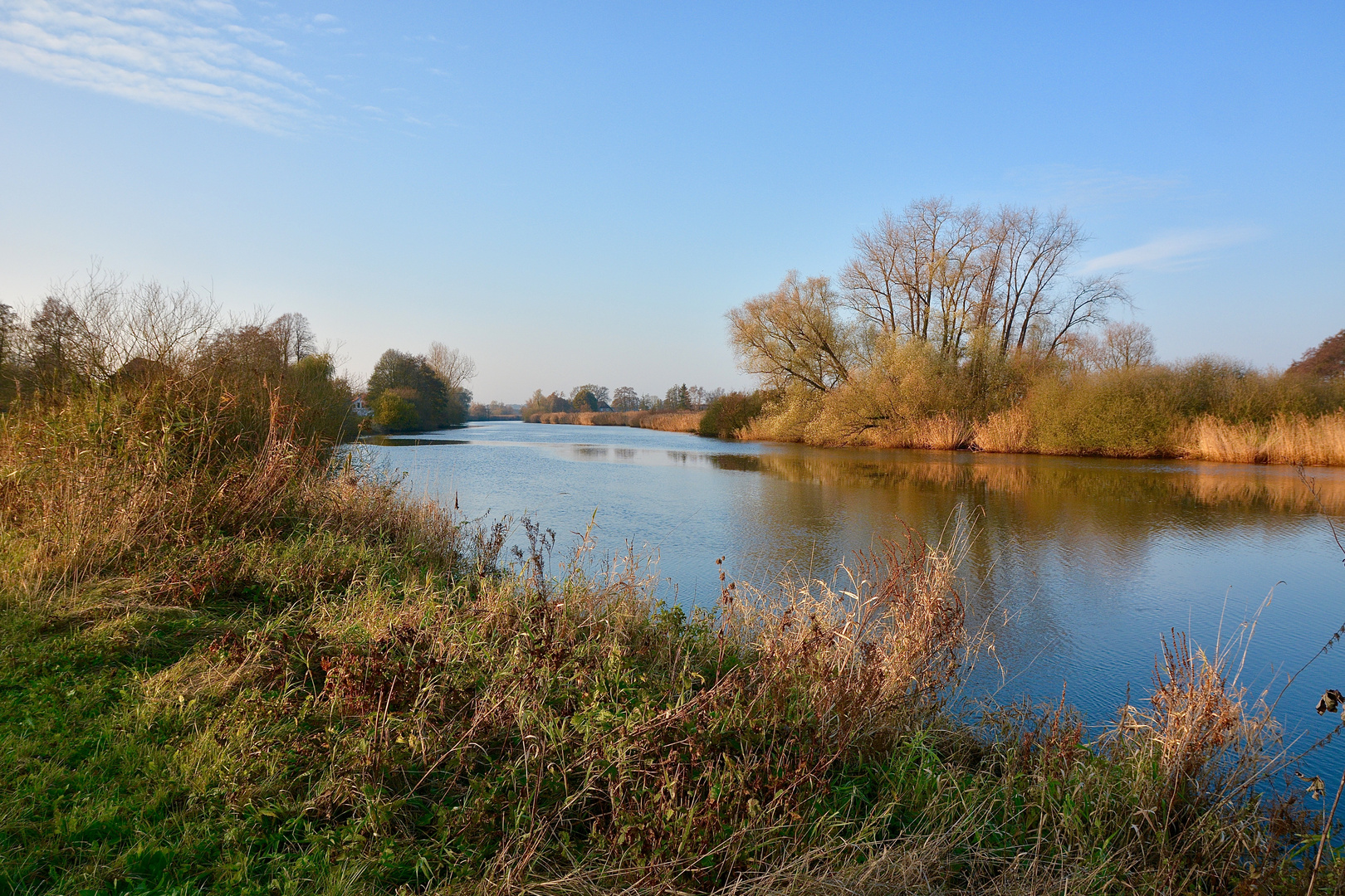 Novemberfreuden im Blockland