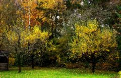 Novembergarten