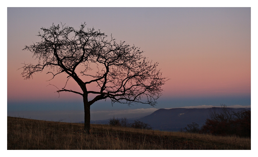 Novembergedanken