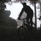 Novembergestalten
