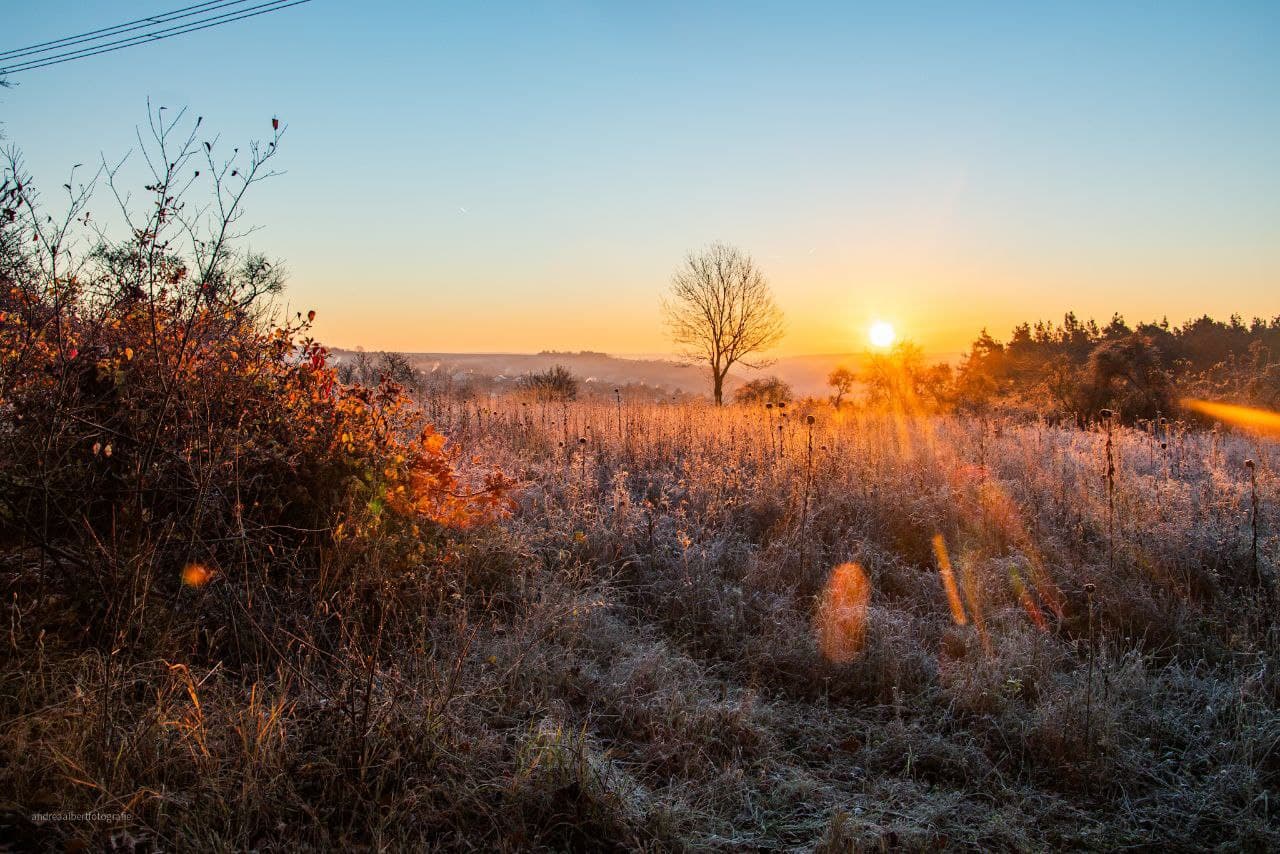 Novembergmorgen