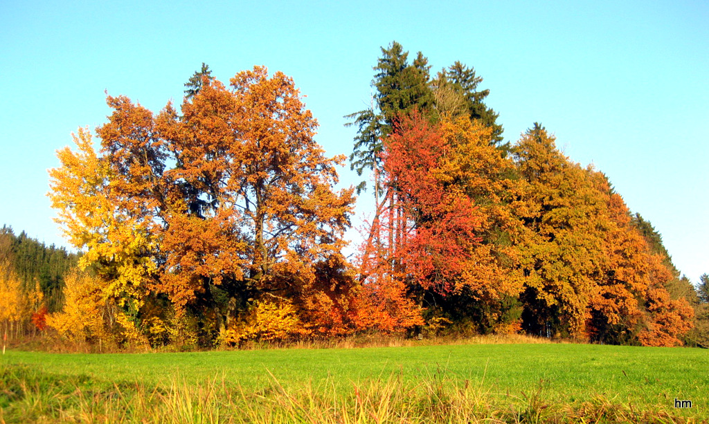 Novembergold in Idyllistan