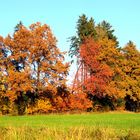 Novembergold in Idyllistan