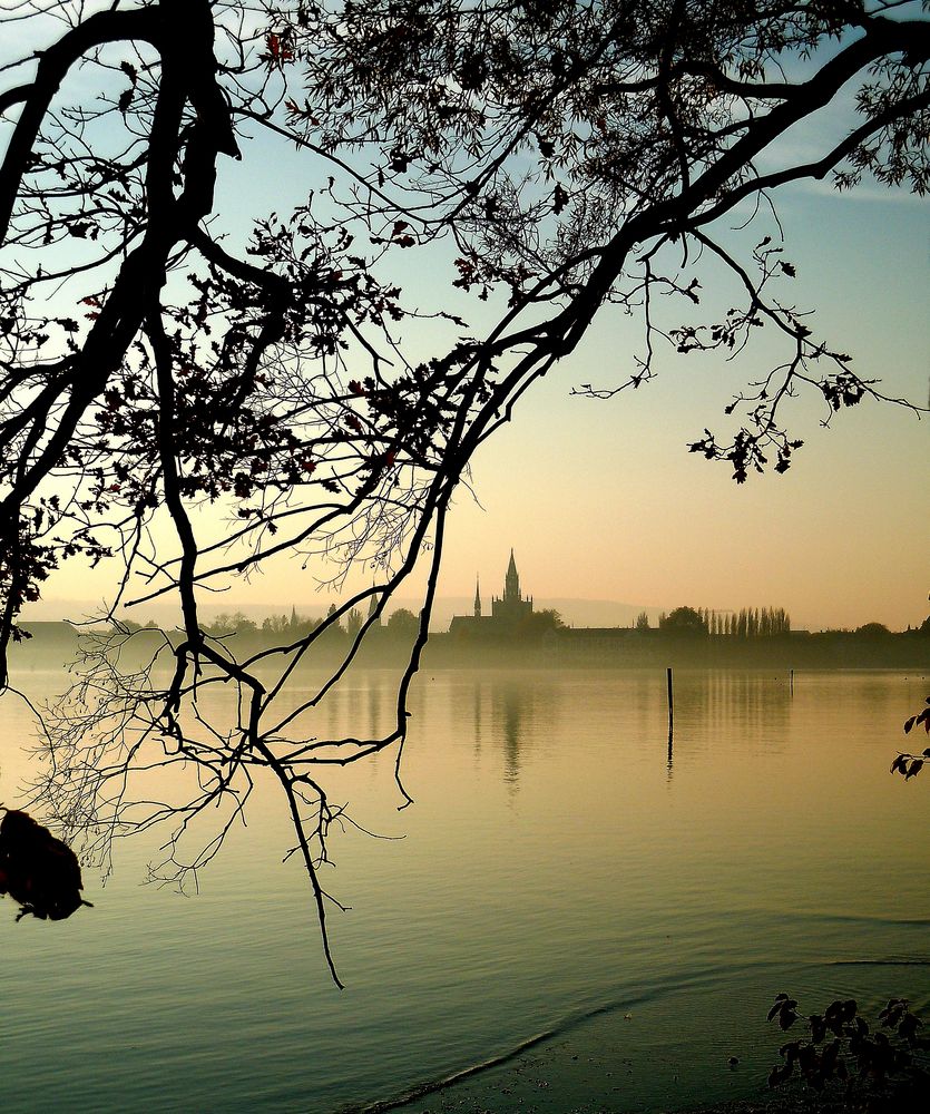 Novembergrau am See