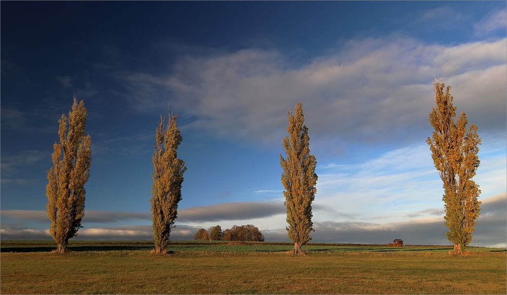 Novemberherbst 