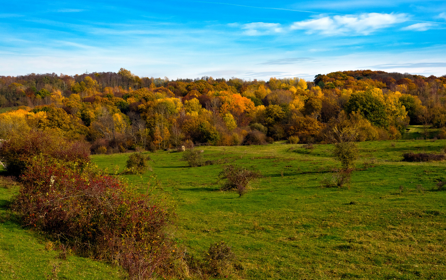 Novemberherbst I, Schmidtenhöhe, Koblenz