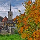 Novemberherbstgold an St. Marien 