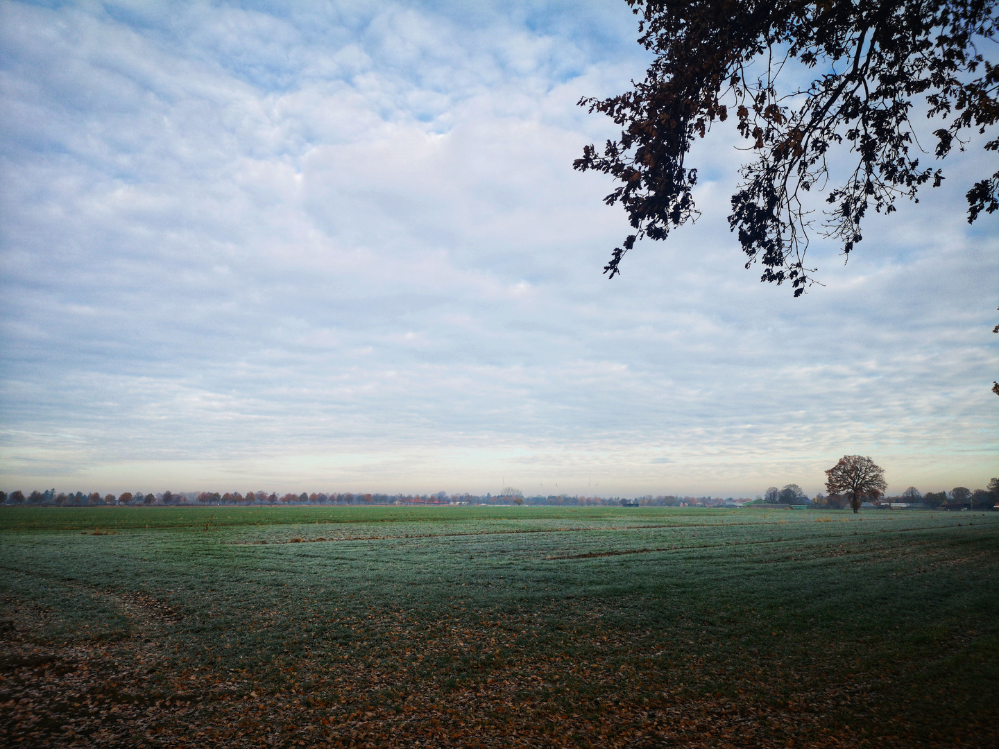 Novemberhimmel