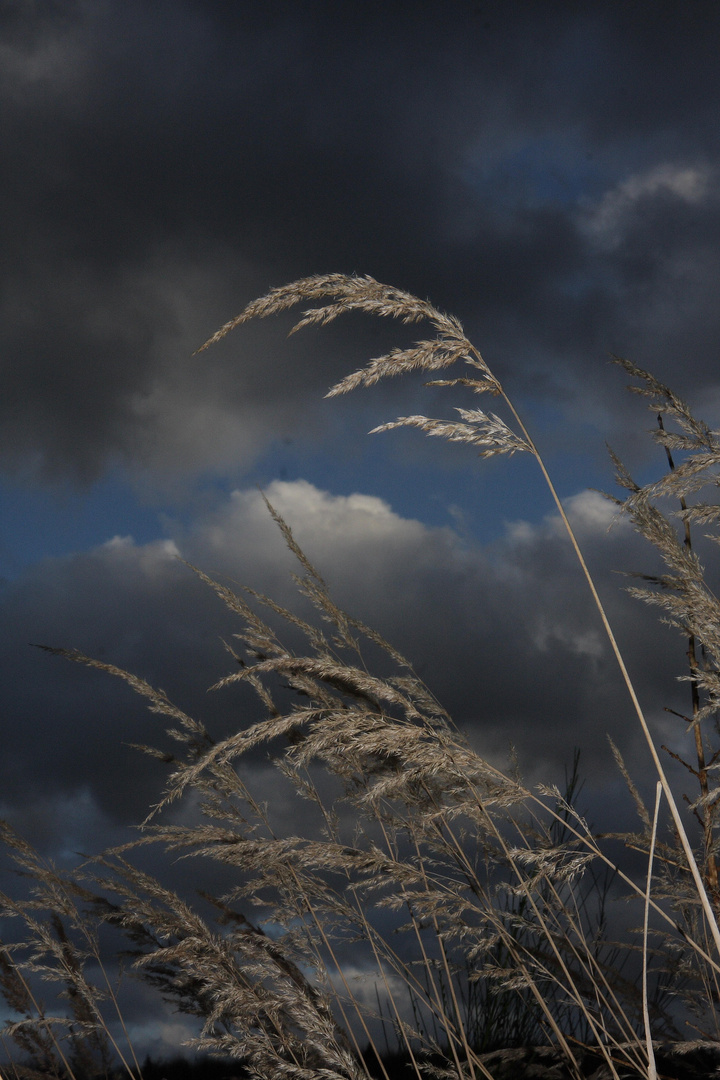 Novemberhimmel