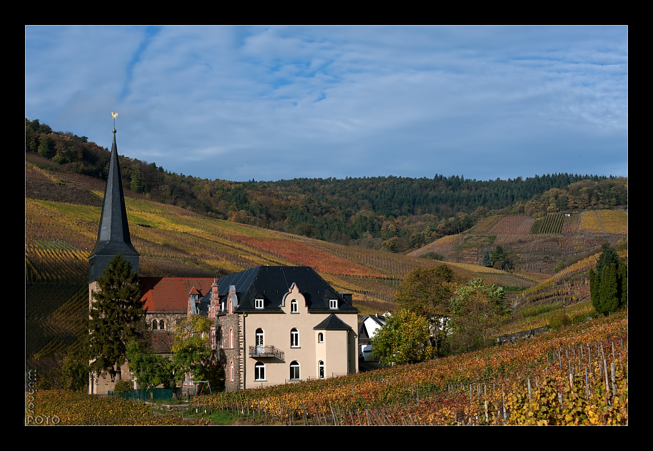 NovemberKirchWein