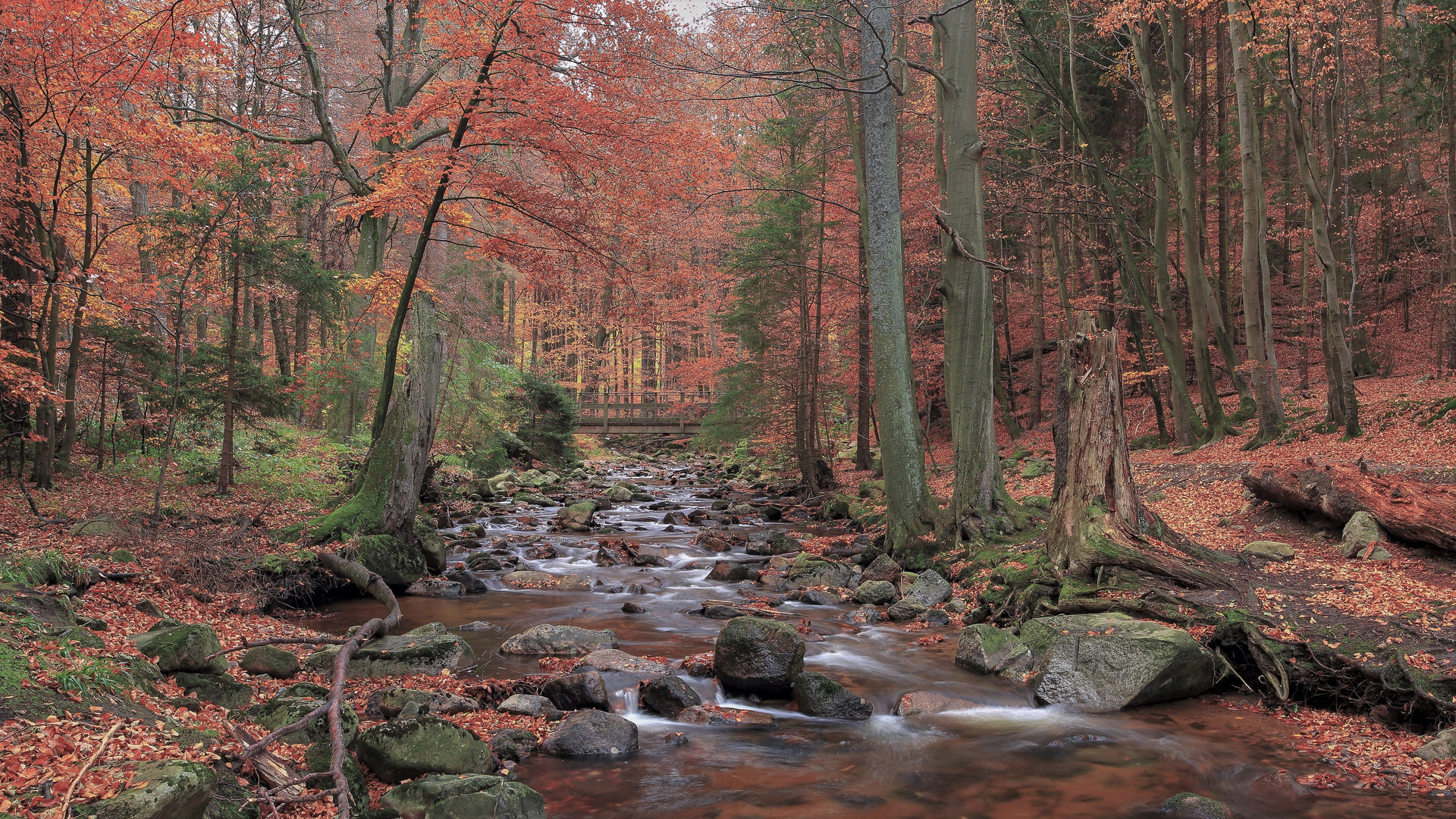 Novemberlandschaft