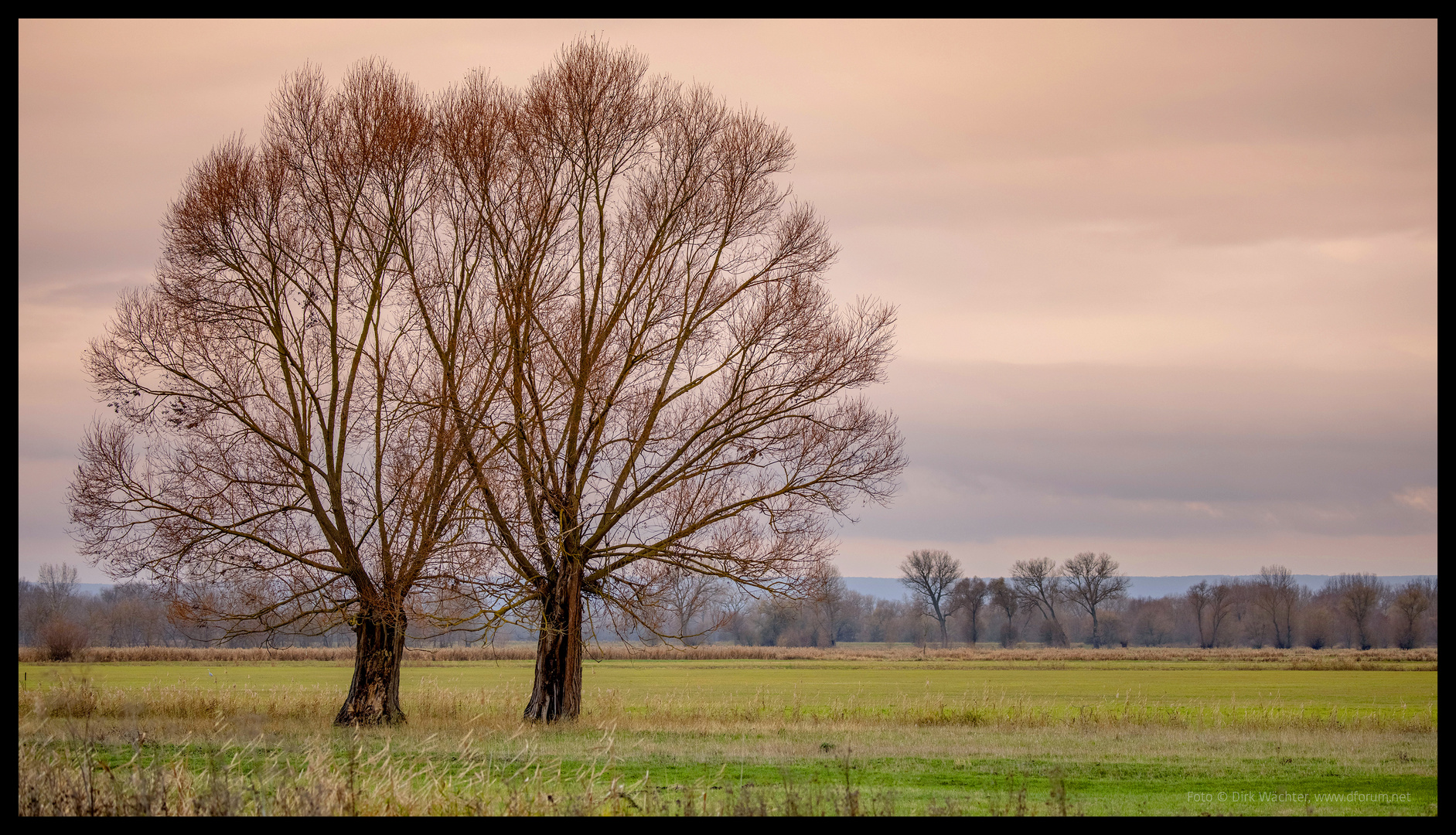 Novemberlandschaft