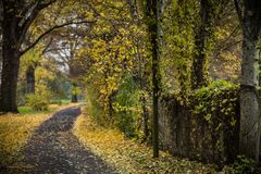 Novemberliche Herbststimmung auf der Maaraue bei Mainz-Kostheim