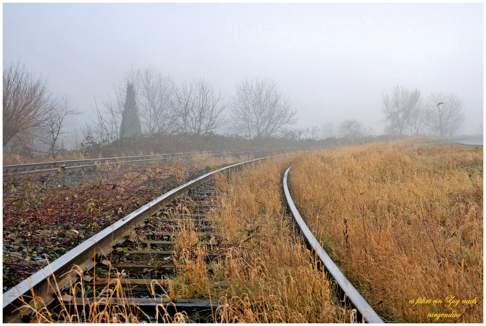 Novemberliches !