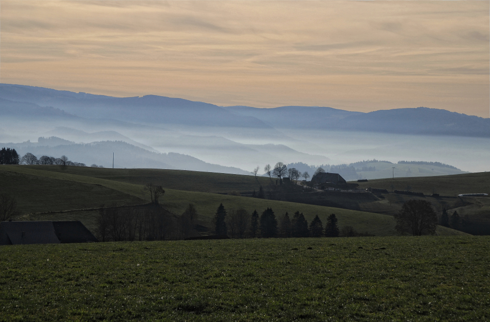 Novemberlicht