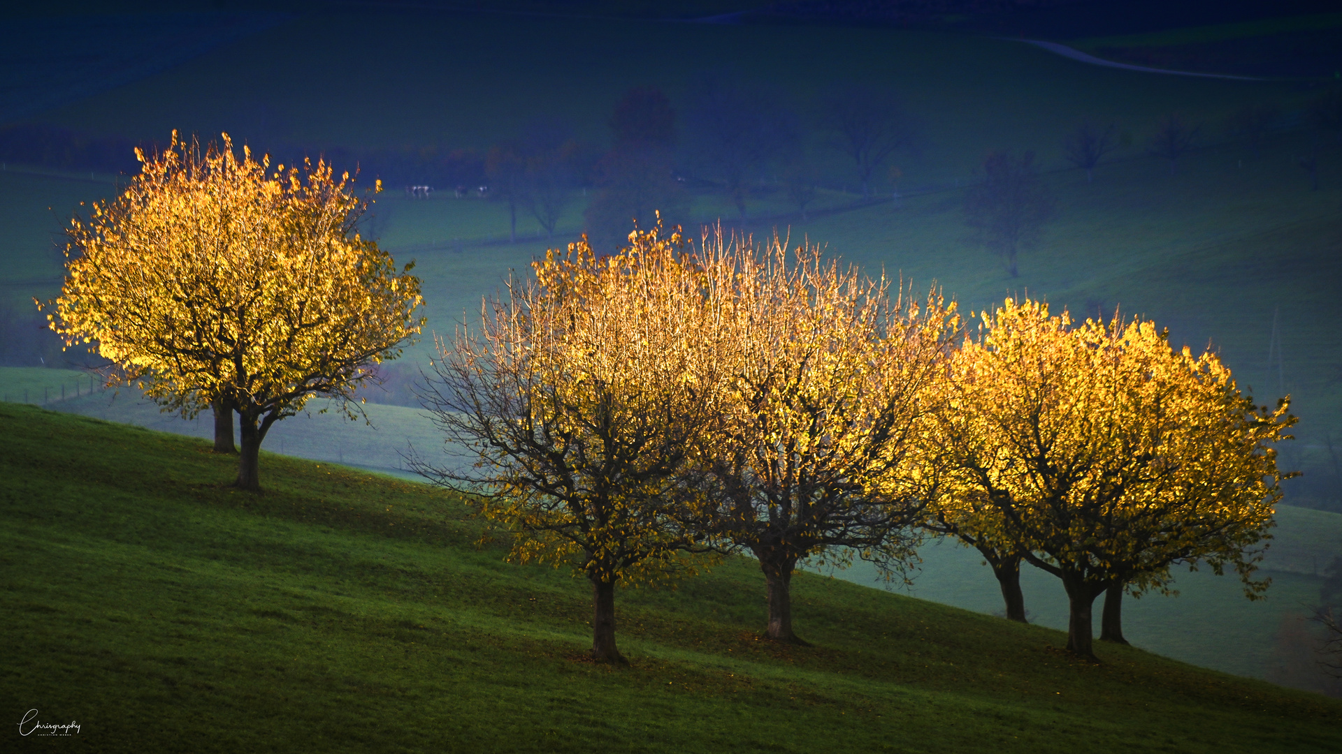 Novemberlicht