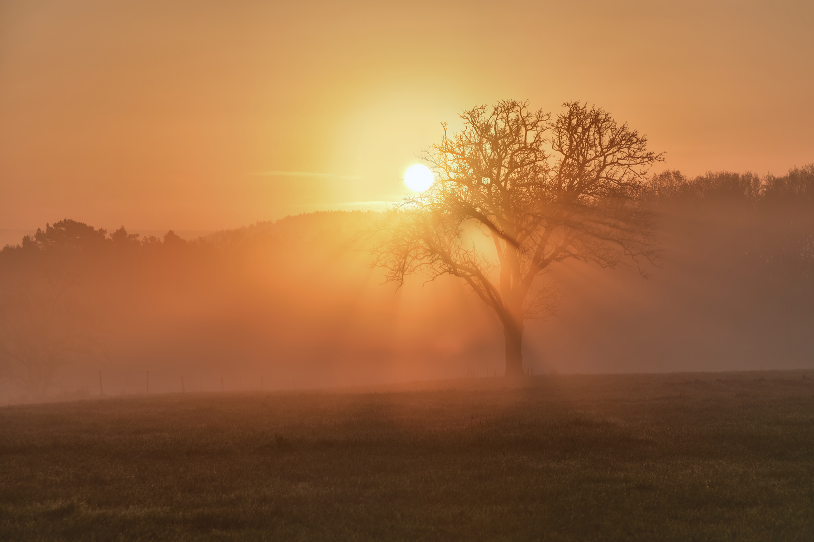 *Novemberlicht*