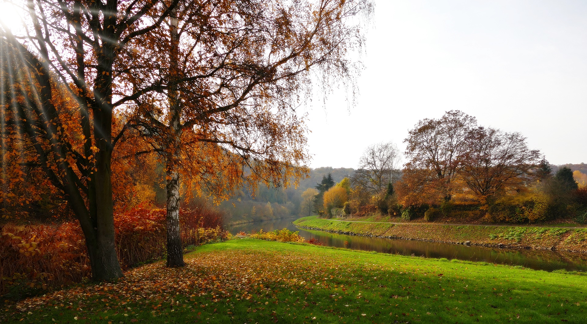 Novemberlicht