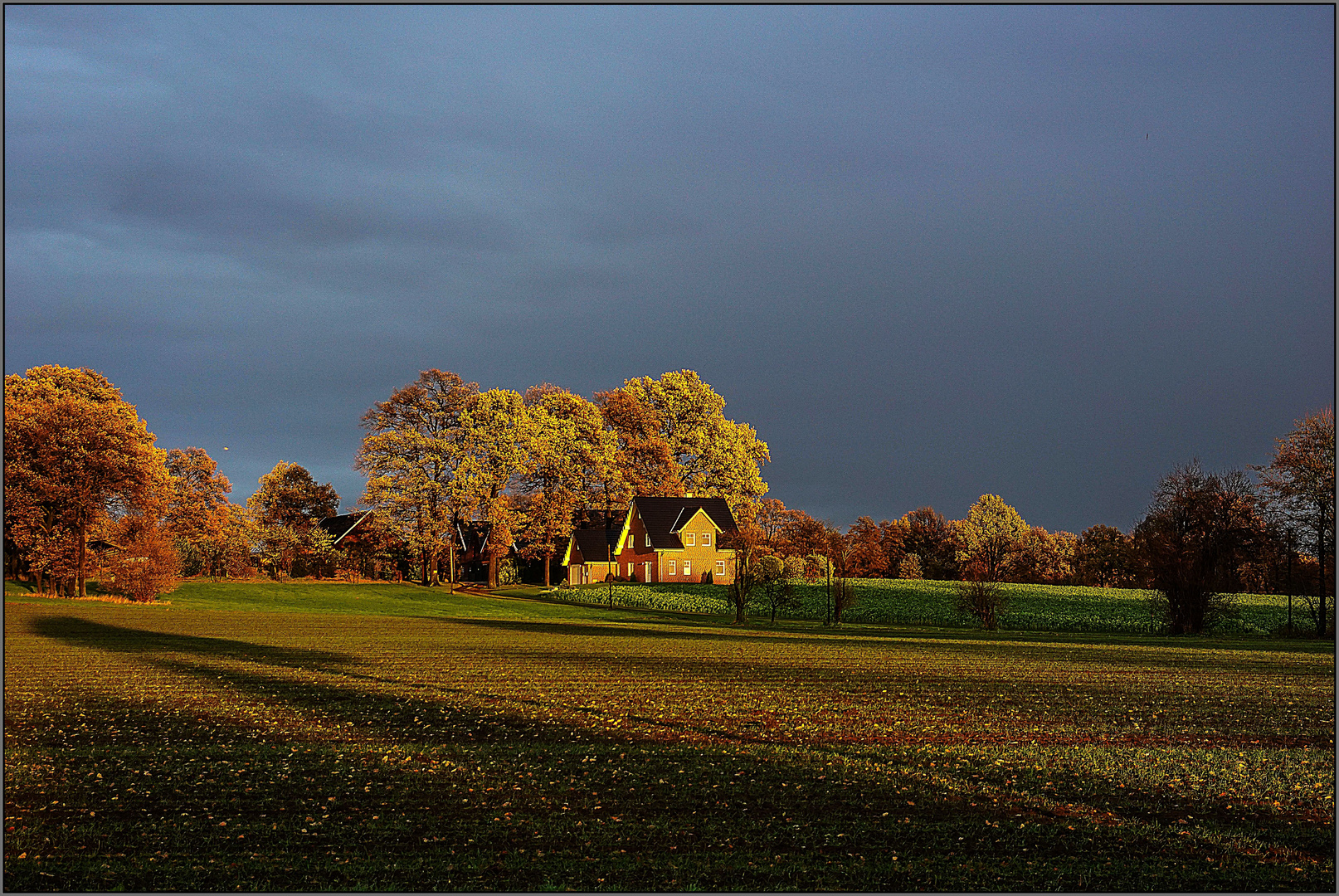 Novemberlicht