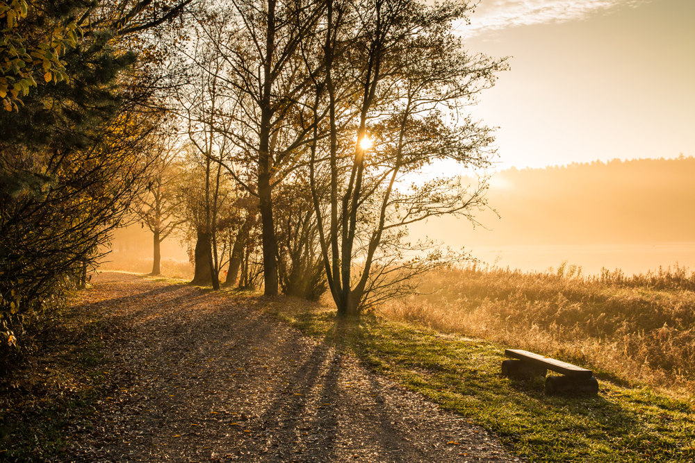 Novemberlicht