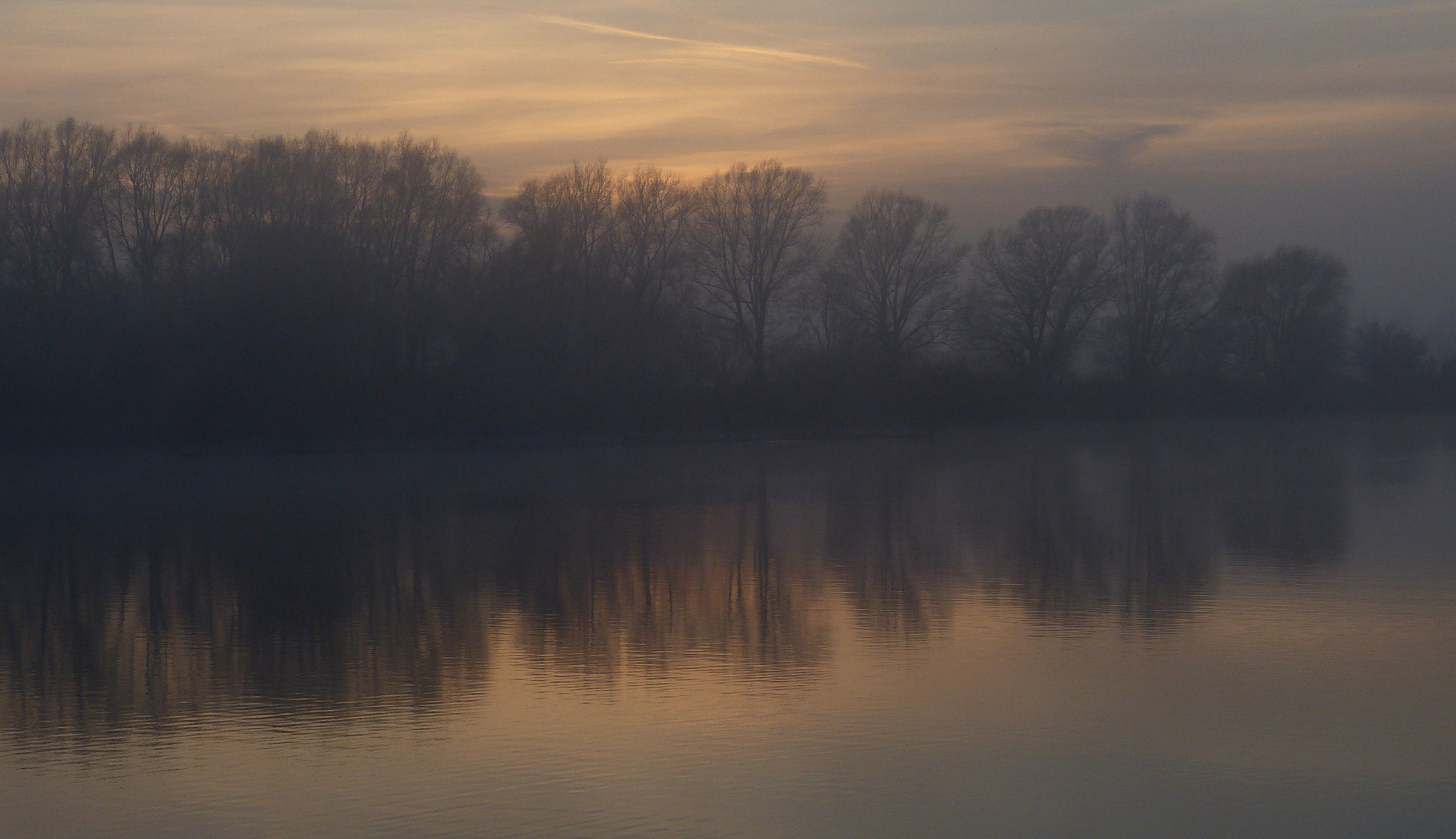 Novemberlicht