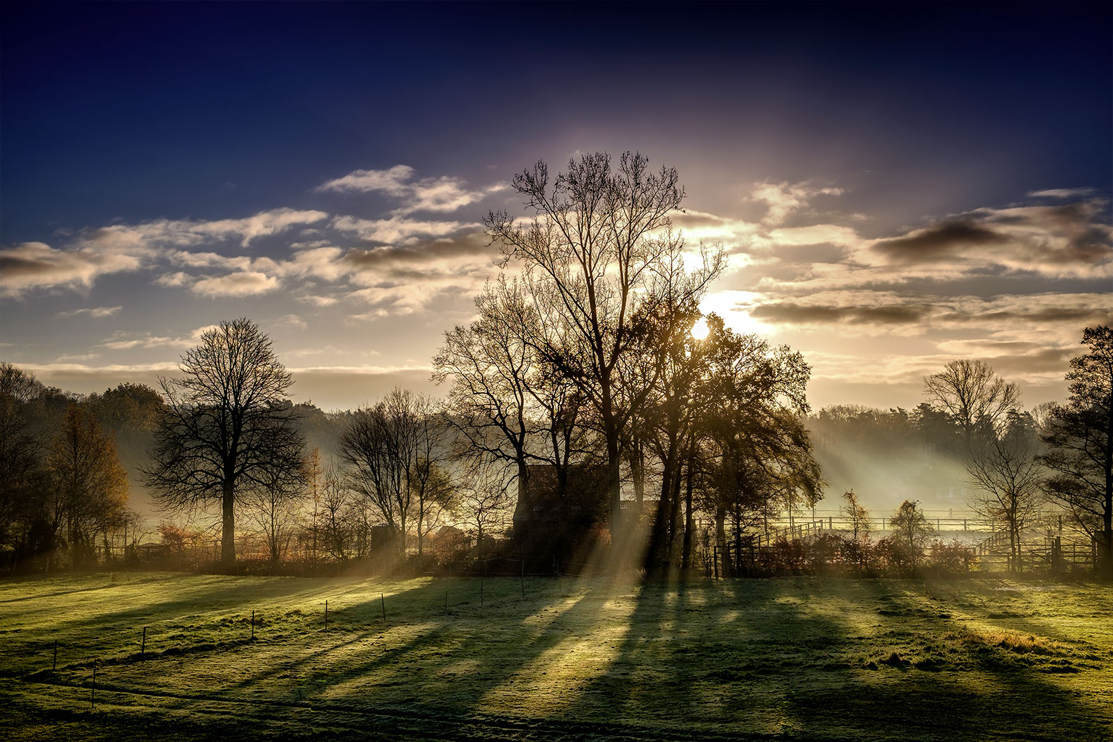 Novemberlicht