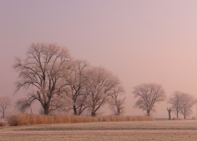 Novemberlicht