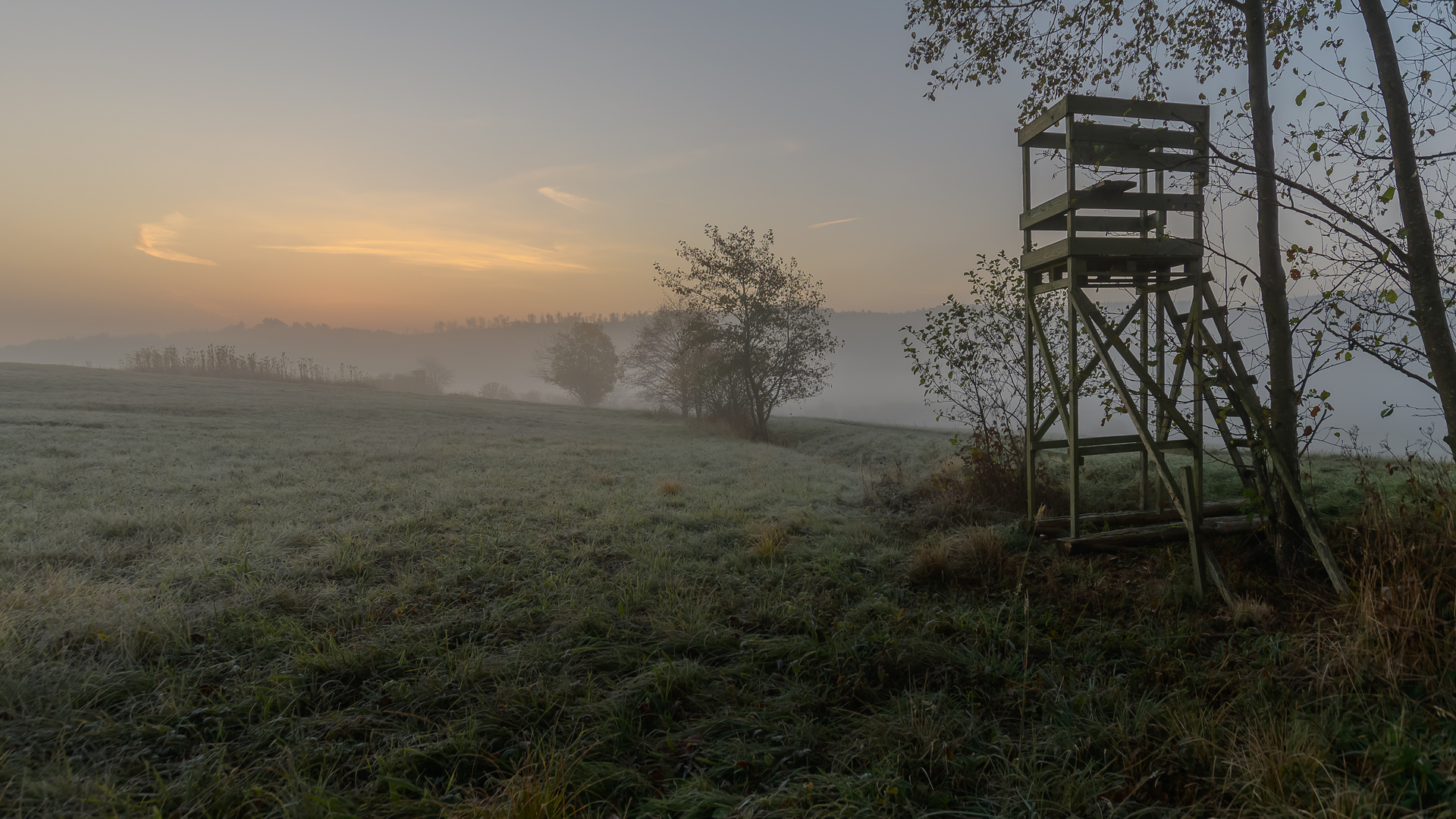 Novemberlicht