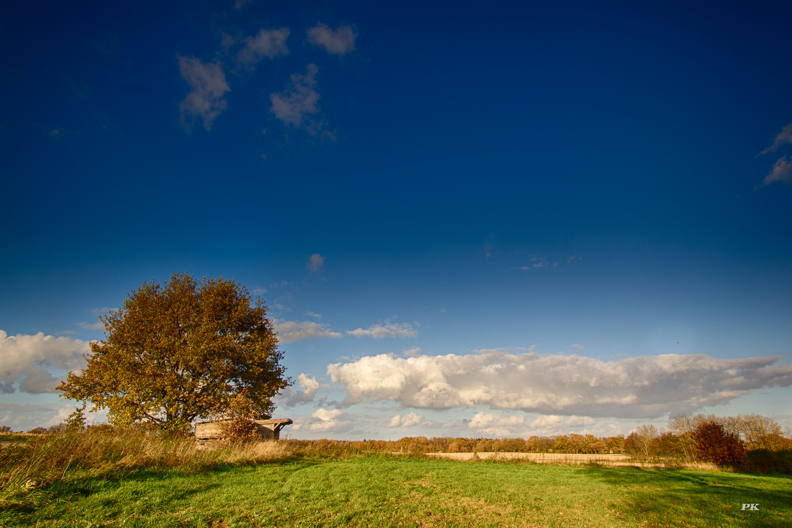 Novemberlicht