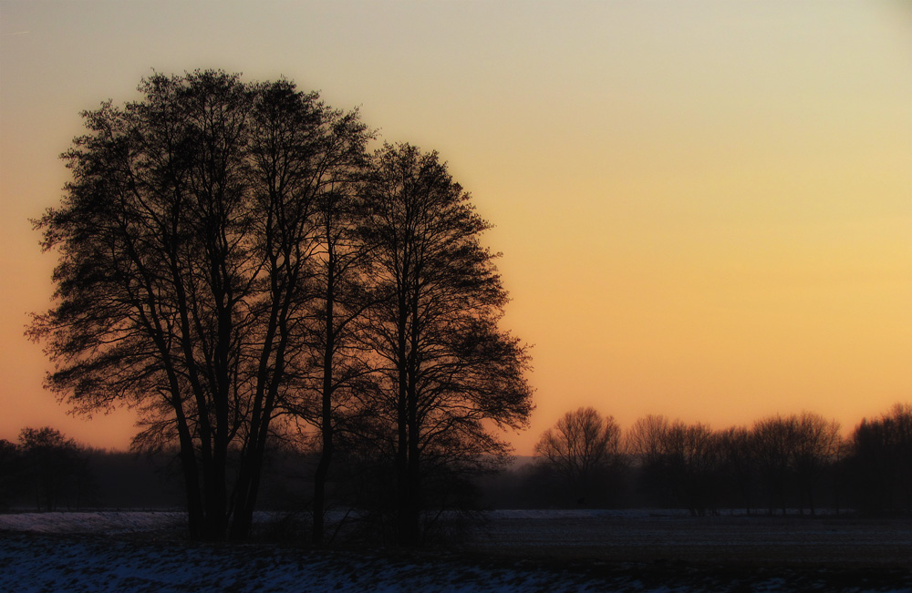 Novemberlicht im Februar