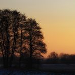 Novemberlicht im Februar