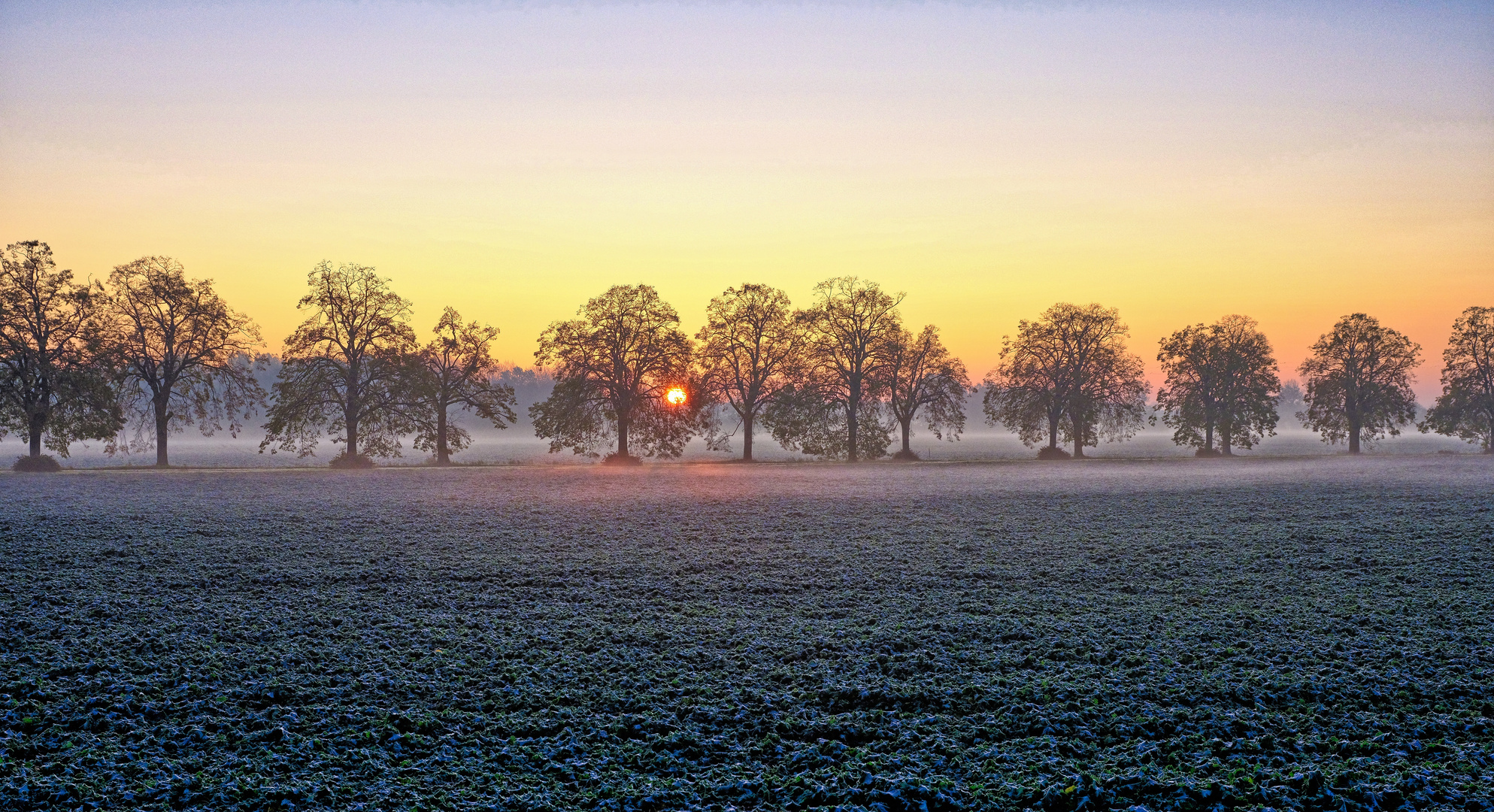 Novembermorgen