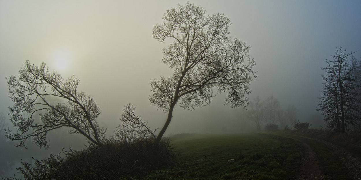 Novembermorgen