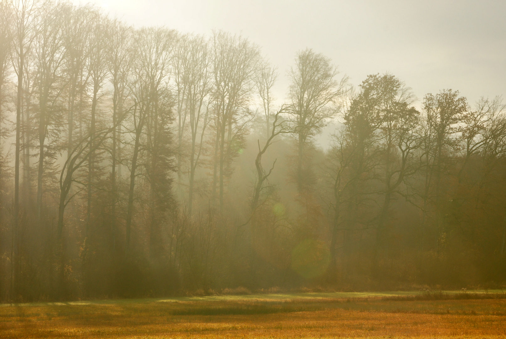 Novembermorgen...