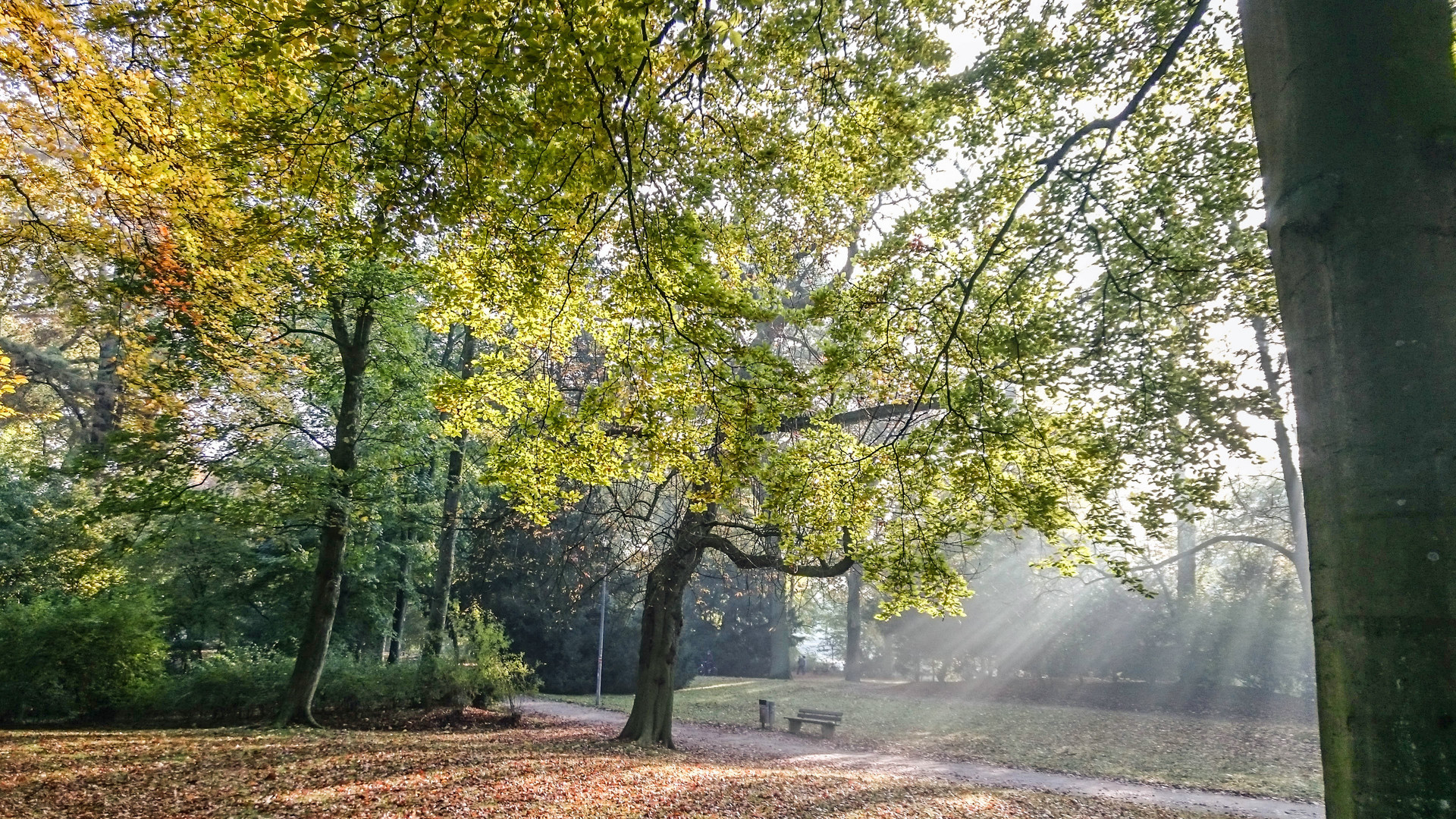 Novembermorgen 1