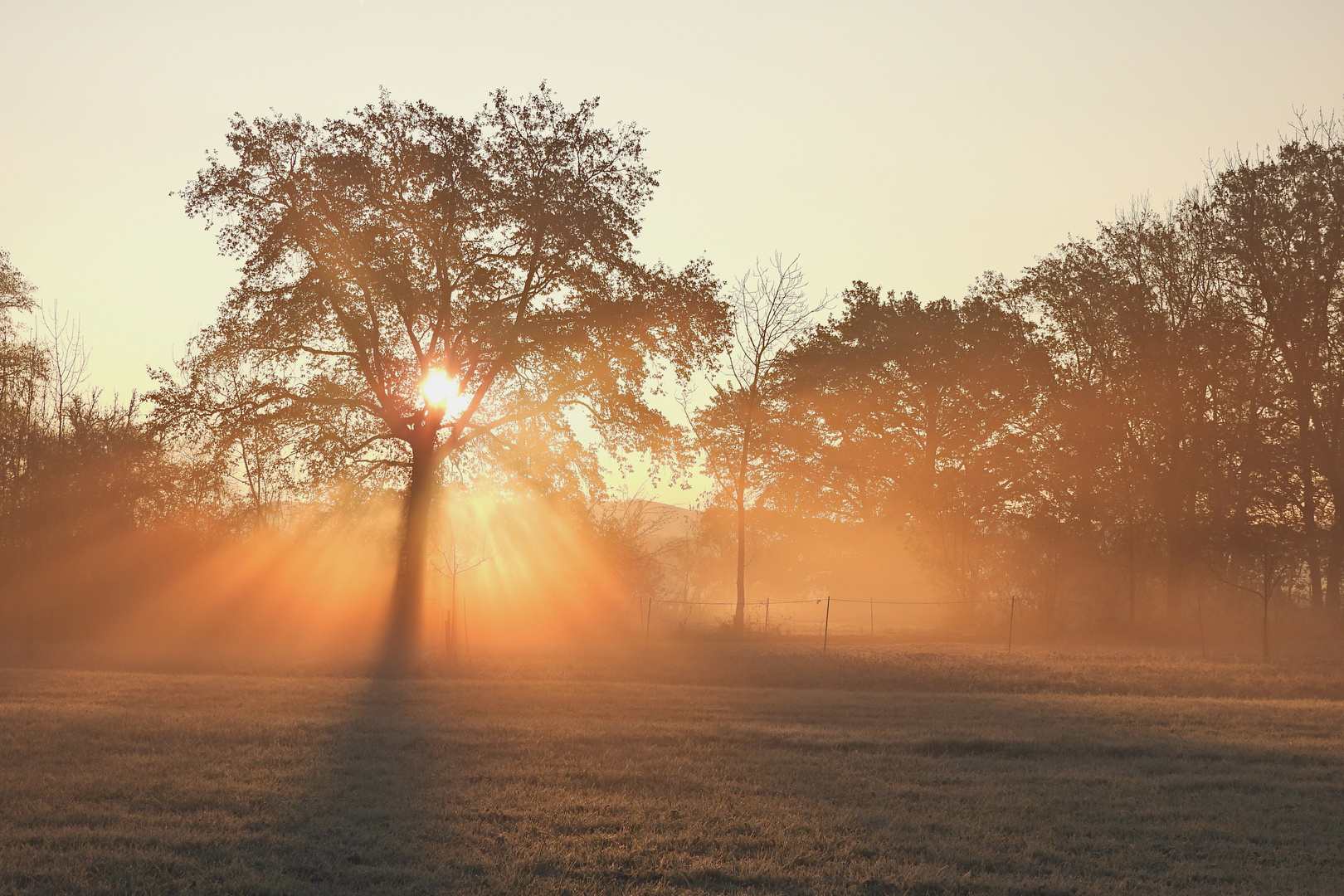 Novembermorgen