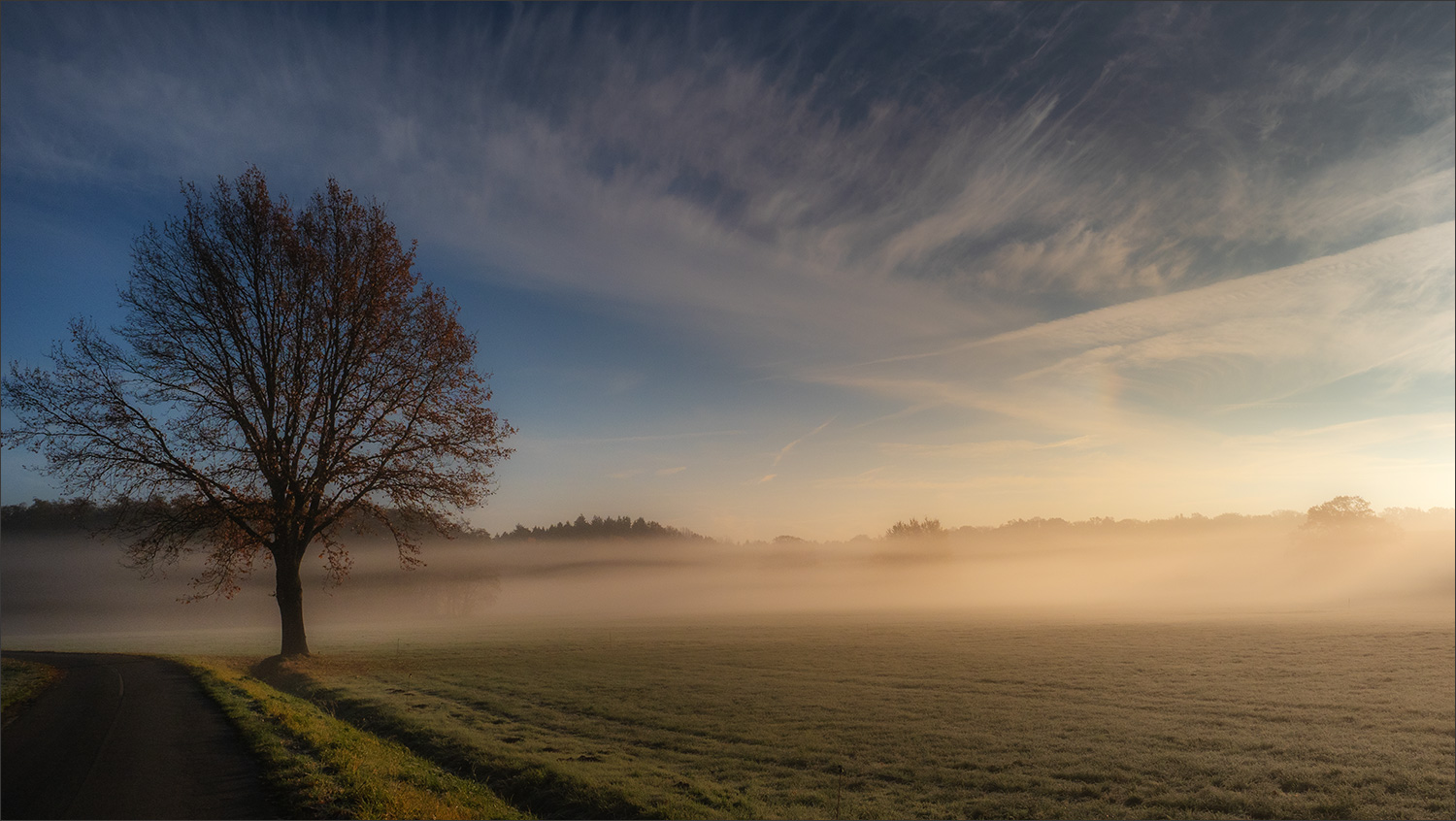 Novembermorgen ...