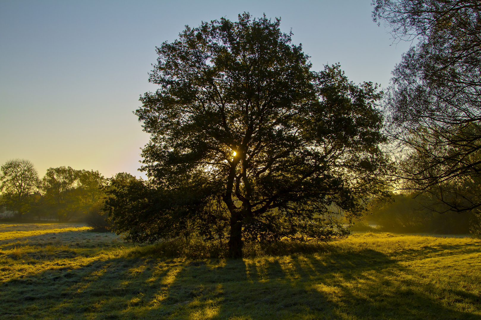 Novembermorgen