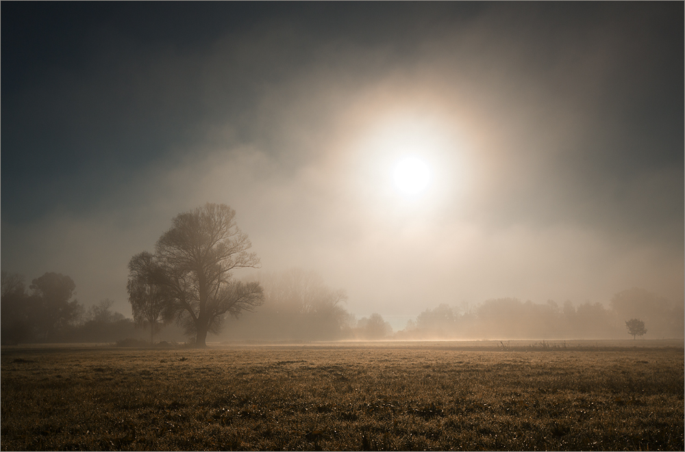 Novembermorgen